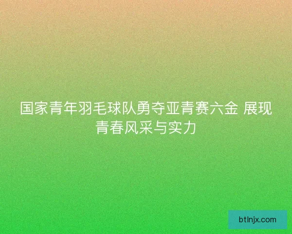 国家青年羽毛球队勇夺亚青赛六金 展现青春风采与实力